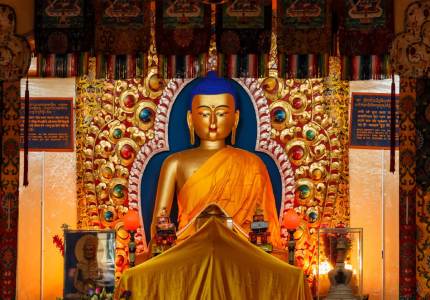 Amritsar to Shimla Manali Tours