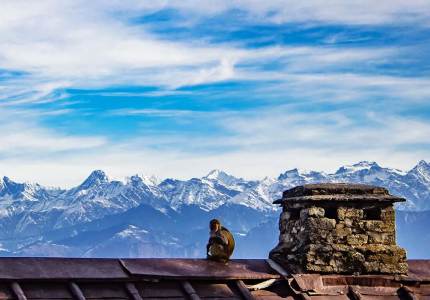 Amritsar to Shimla Manali Tours