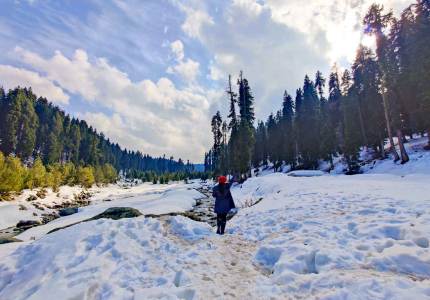 Kashmir