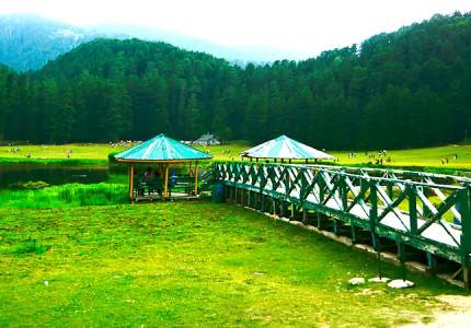 Dalhousie Wildlife Nature Retreat