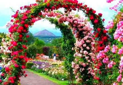 Shimla Hill Escape Tour